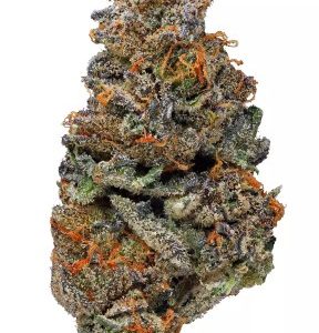 Girl Scout Cookies Strain