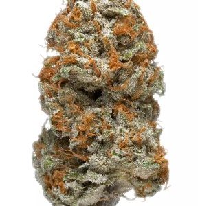 Purple Kush