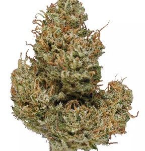 Cannatonic Strain