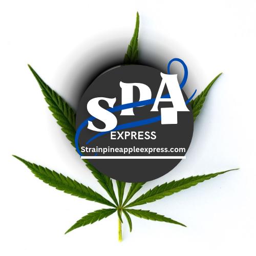 strainpineappleexpress.com